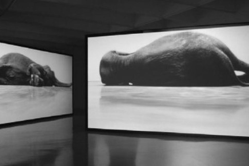 20110822090009fragments-in-time-and-space-small.jpg