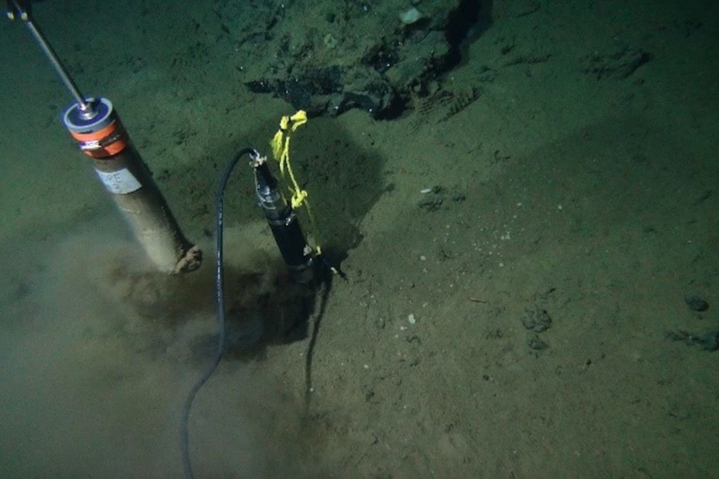 A murky green-brown ocean floor with a tool drilling into the seafloor