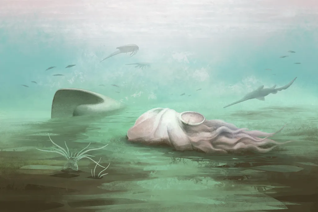 marine environment with dead animal