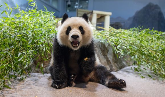 20241023-817A7167-02RP-qing-bao.jpg
