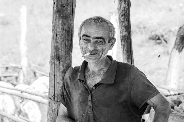 Georgian shepherd thumbnail