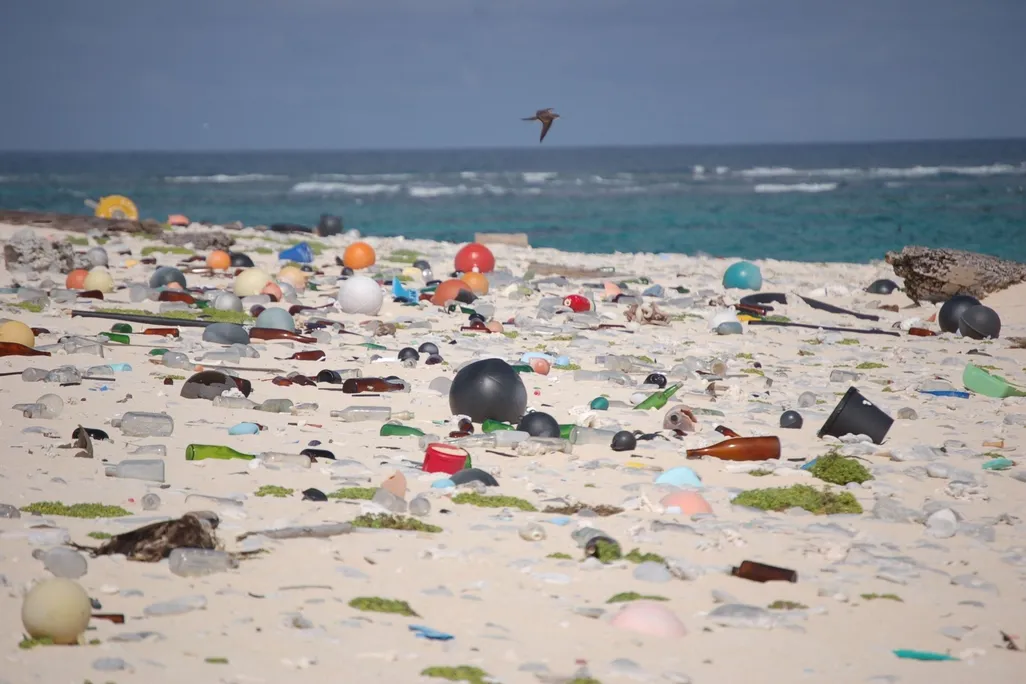 Beach_strewn_with_plastic_debris_(8080500982).jpg