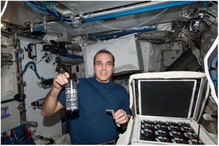 Astronaut Rick Mastracchio poses with the bacteria grown with antibiotics on the International Space Station