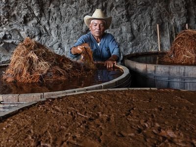 José Santiago of Palenque Don Lencho, in San Pablo Guilá village, with wooden vats of fermenting agave prior to distillation