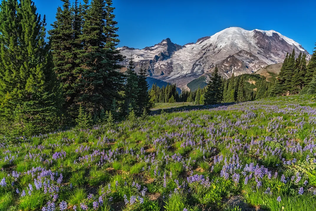 Mount Rainier National Park
