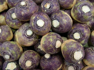 Rutabagas are a cross between turnips and cabbages first described in 1620 