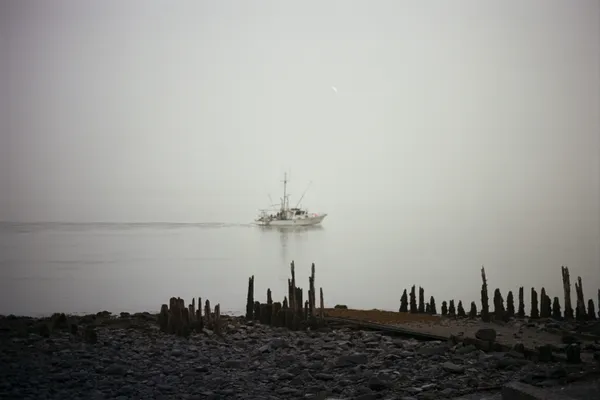 Fog envails Seward Harbor thumbnail