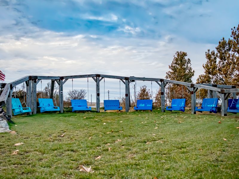 Bondurant Swings Smithsonian Photo Contest Smithsonian Magazine