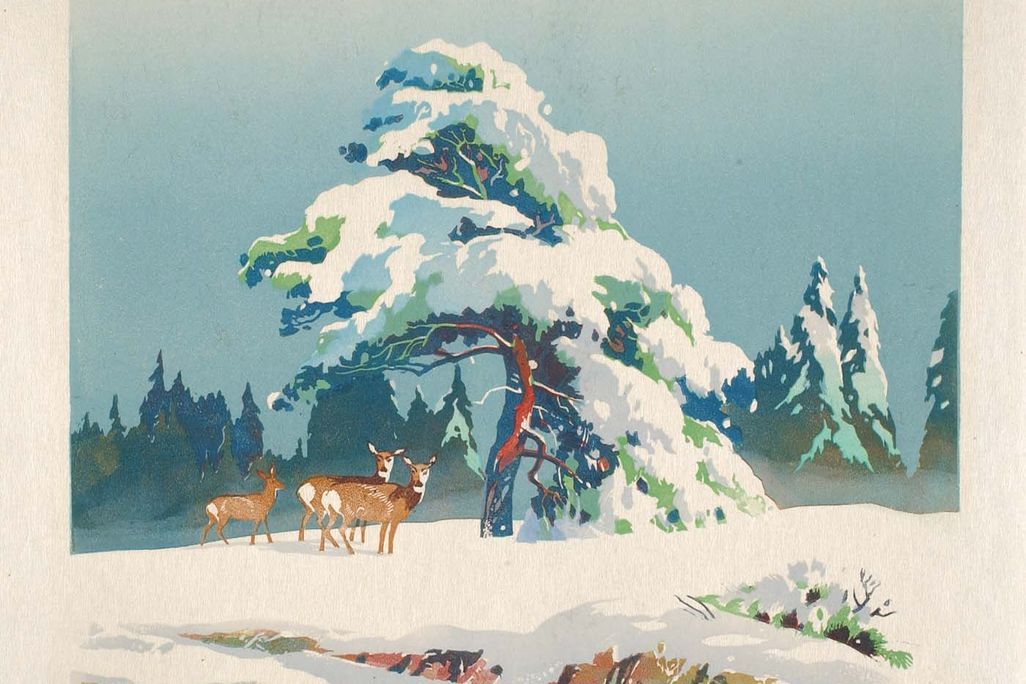 1970193_1a.jpg