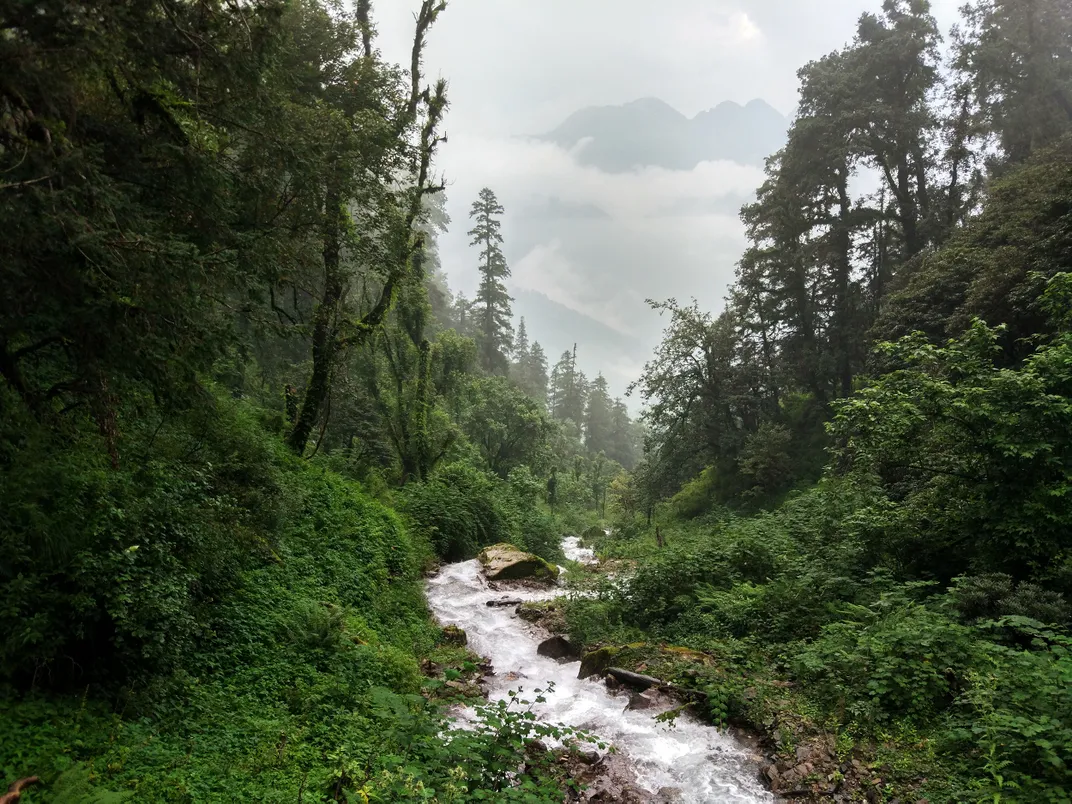 A stream flowing in the backdrop of Himalayan Mountains | Smithsonian ...