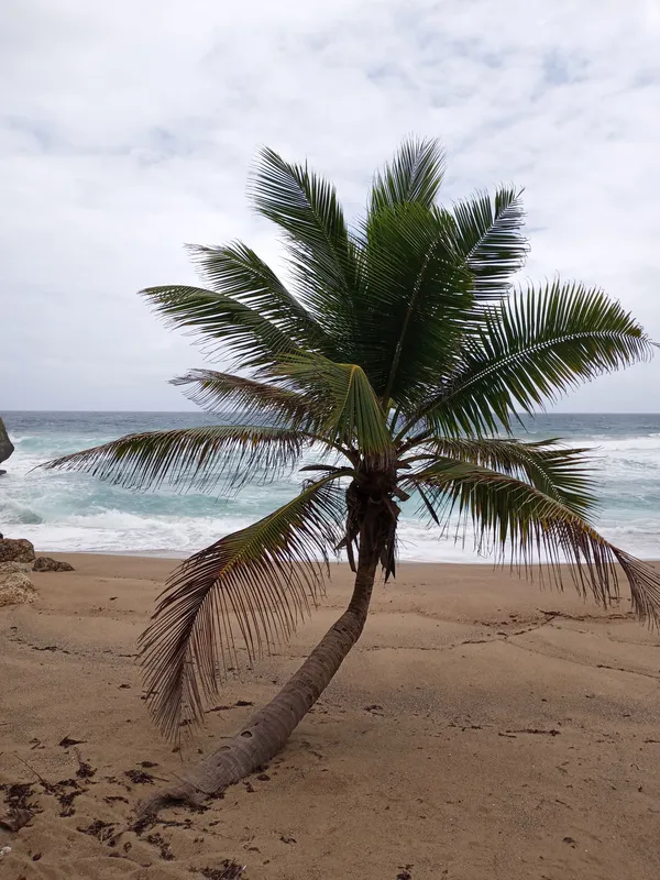 Palm beach day entrance to Tunel Guajataca thumbnail