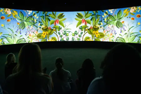 Vivid colors and images splash across a five-panel screen, bringing Joseph Banks and James Cook's voyage to life