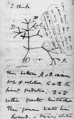 20110520083232Darwin_tree_of_life.jpg