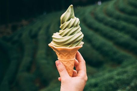 From forests to fish to flakes of snow, the science behind ice cream reaches beyond the cone. (Taryn Ellio)
