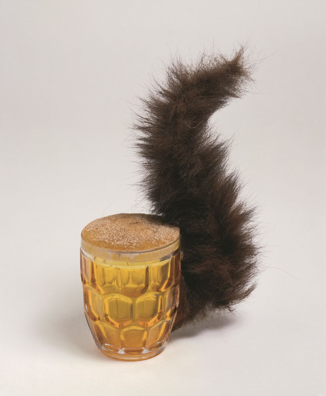 Meret Oppenheim, Squirrel, 1960/1969