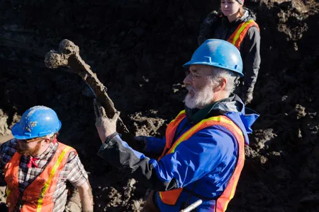 University of Michigan paleontologist Daniel Fisher holds up an intact mammoth rib unearthed from the field. 
