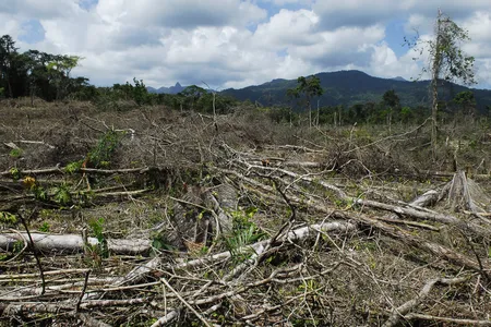 Narcotics operators are responsible for this stretch of deforestation, locating in a protected areas in Honduras. 