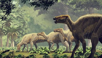 The Last Day of a Doomed Dinosaur