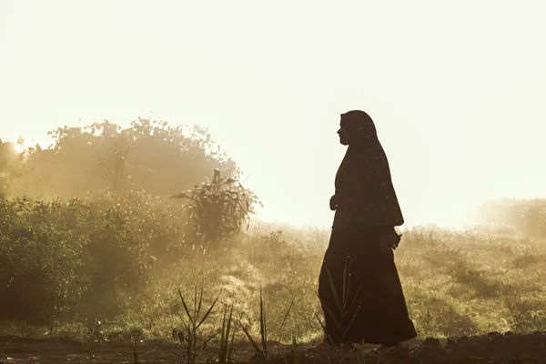 Alone in the morning thumbnail