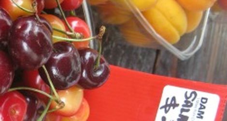 Note the shocking price of this basket of fruit at a roadside stand in New Zealand