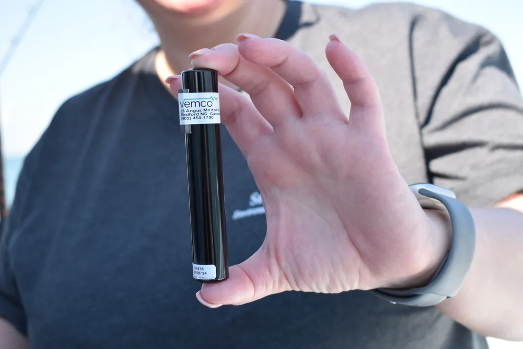 a close-up of a hand holding a black cylindrical tracker