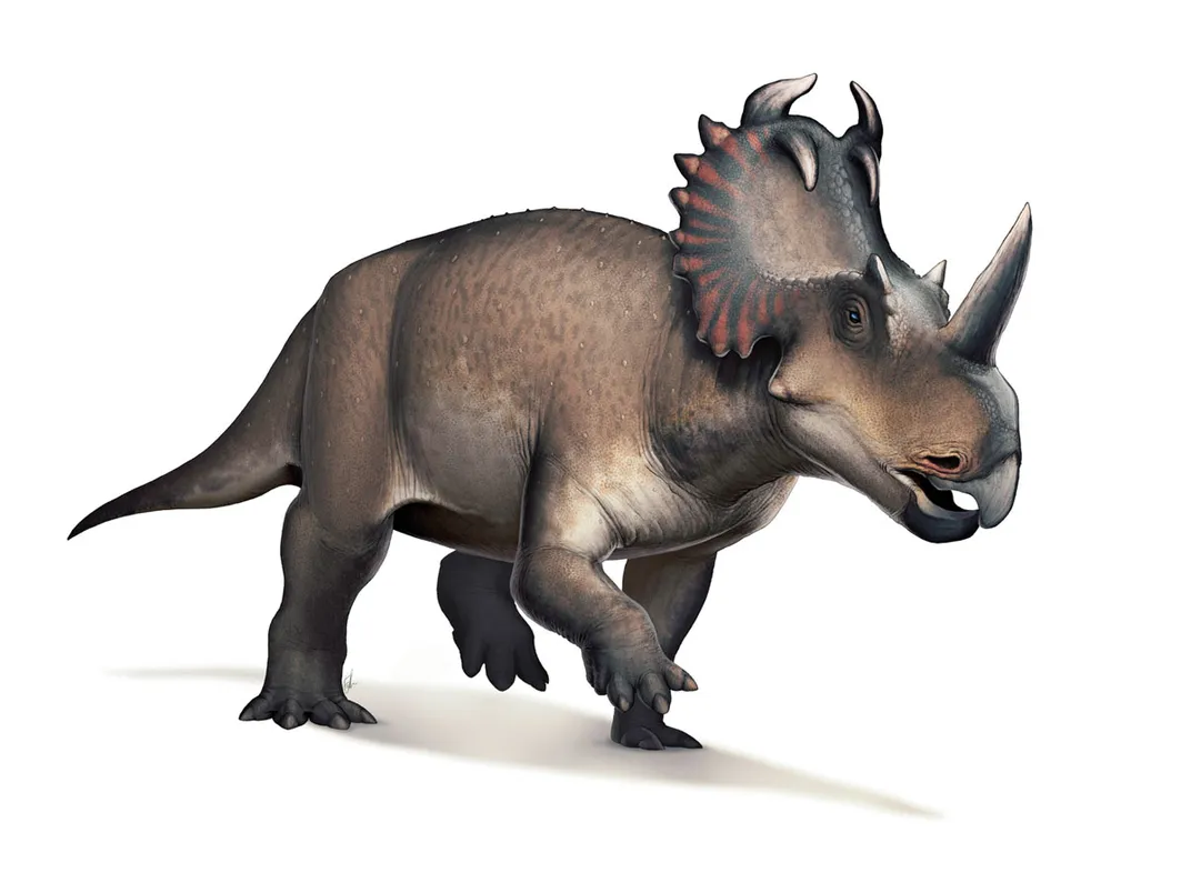 Centrosaurus