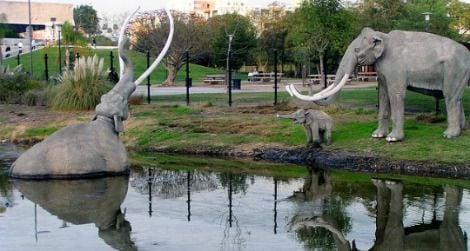 A woolly mammoth sinks into the tar at the La Brea Tar Pits in Los Angeles.