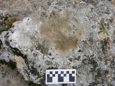 Caption: Six pairs of hand and footprints were discovered in 1998, including two that are small enough to have belonged to children. 
