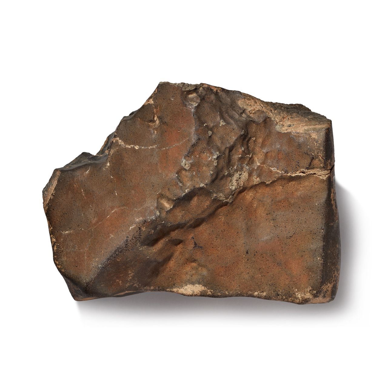 The Largest Martian Meteorite in the World Is Heading to Auction