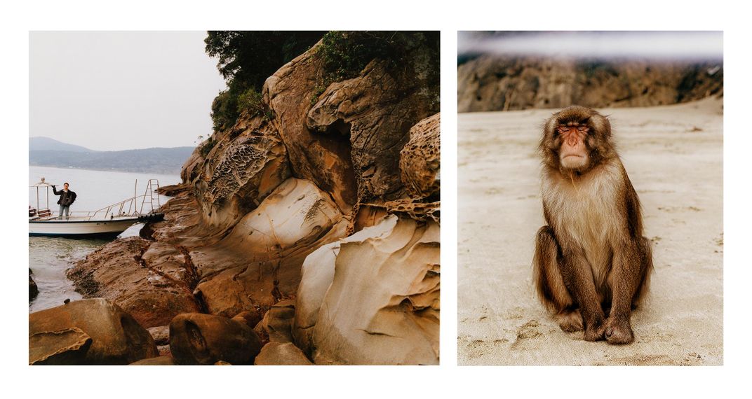 View of Koshima coast and young adult male Japanese macaque on the beach