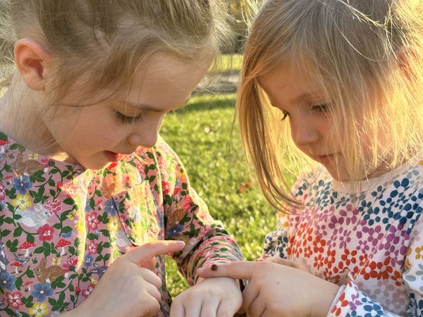 Discovery of a Ladybug thumbnail