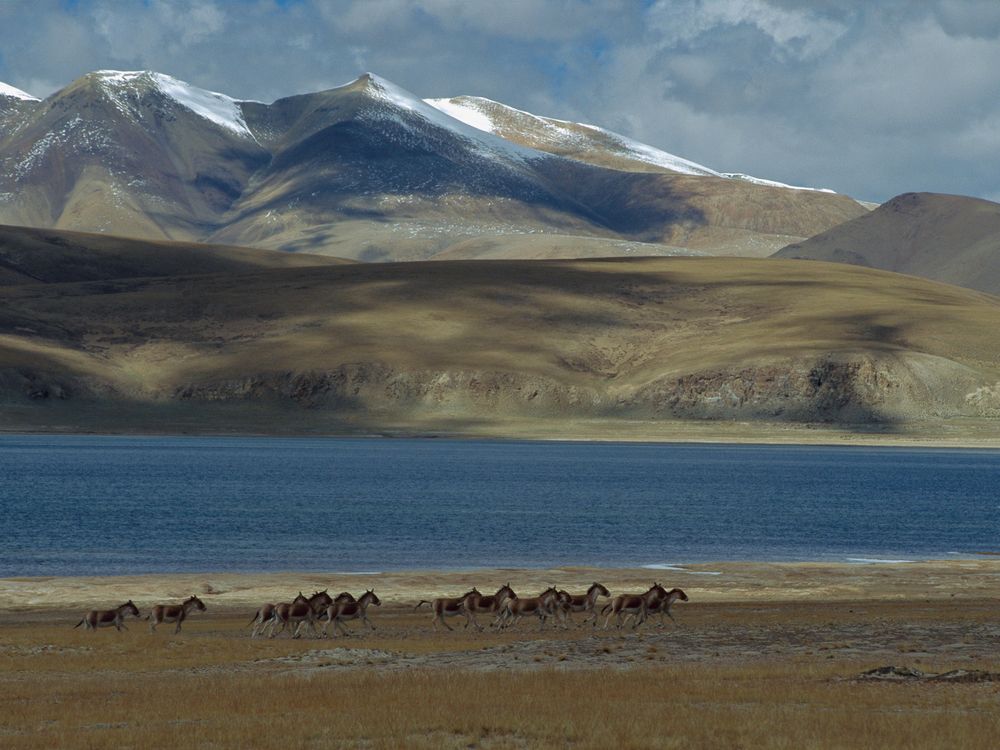 Tibetan plateau