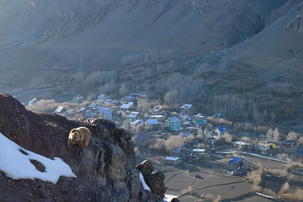 On the Precipice thumbnail