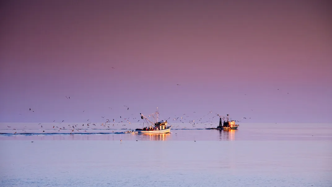 Fans of Alfred Hitchcock’s The Birds may be spooked by the avian activity near these ships.