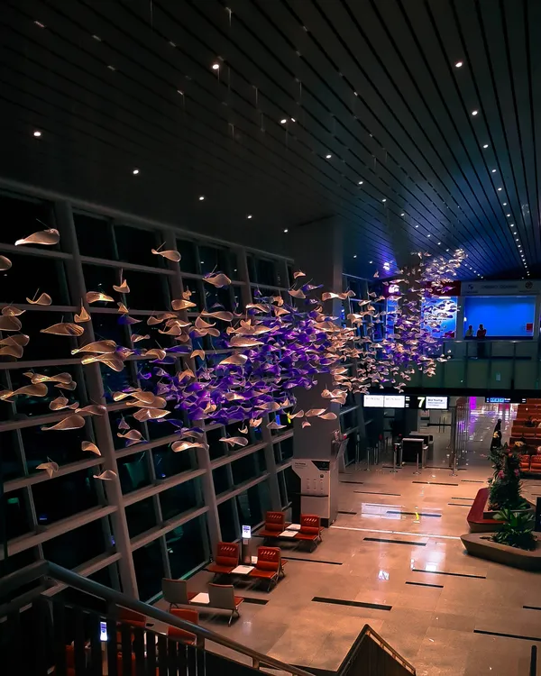 The silent migration thumbnail