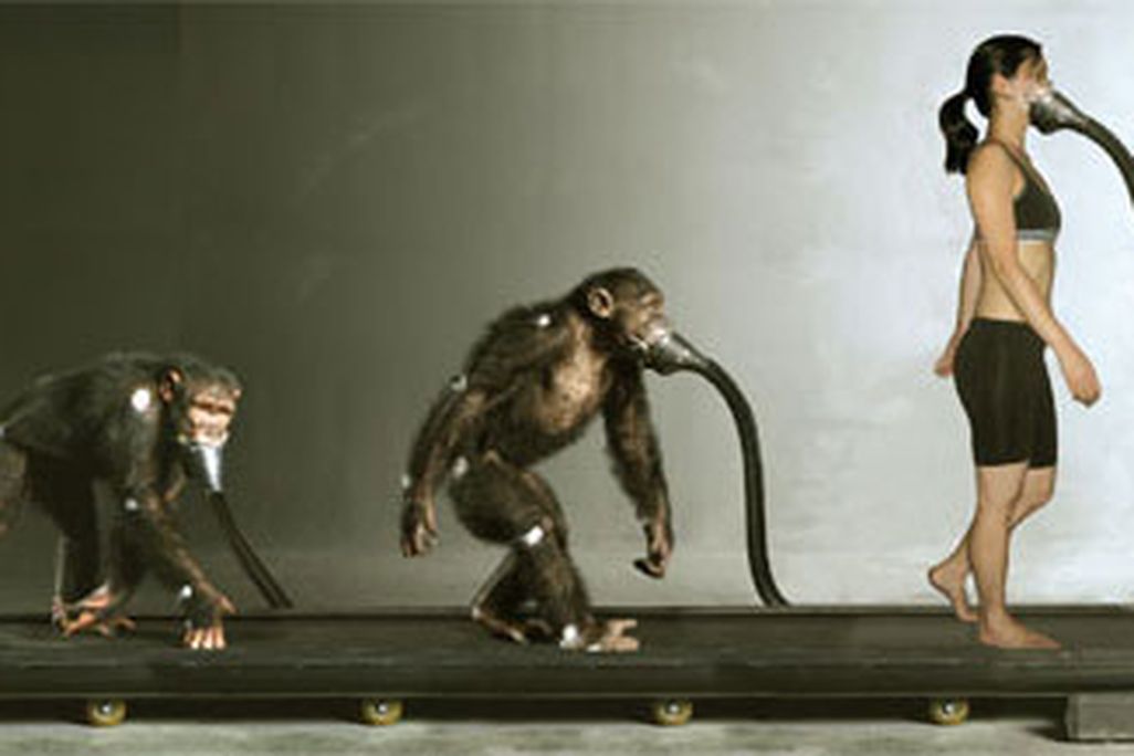 upright_group.jpg