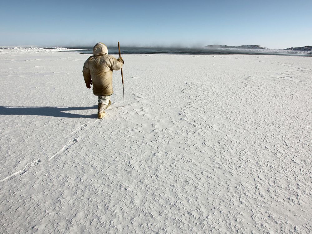 This App Lets Inuit Combine Traditional Knowledge With Scientific Data