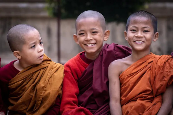 Smiling novices thumbnail