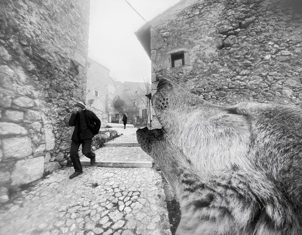 A Silent Howl thumbnail