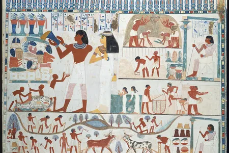 Facsimile of an agricultural scene found in the tomb chapel of Nakht, a scribe and astronomer who probably lived during the reign of Thutmose IV