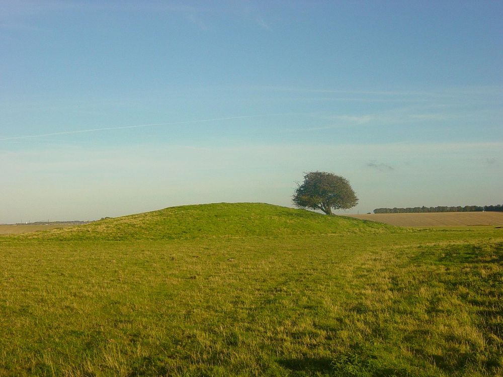 Bush Barrow