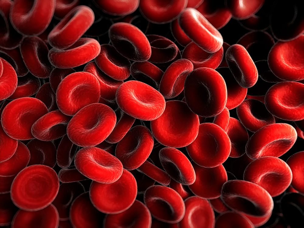 blood cells.jpg