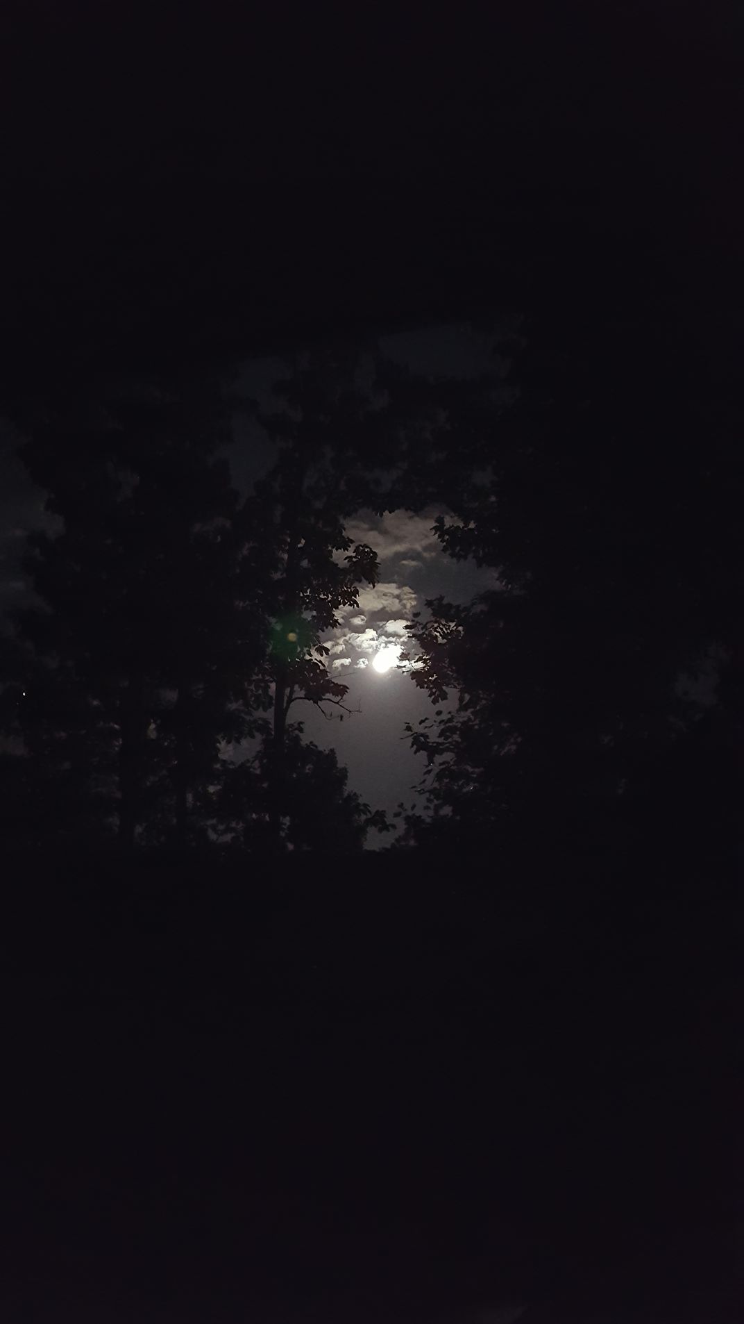the Thunder moon framed by the trees. | Smithsonian Photo Contest ...