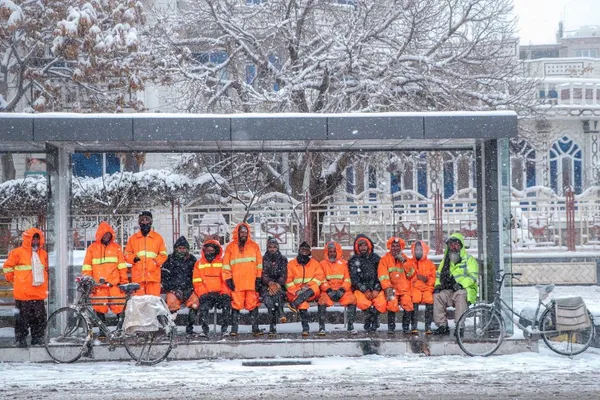 Life in White Silence:    A flash of orange in the white silence of winter thumbnail