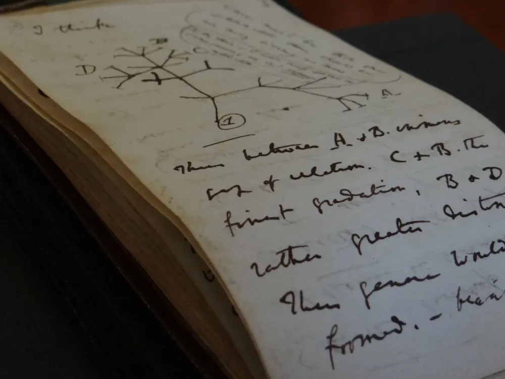 Page in Darwin's notebook