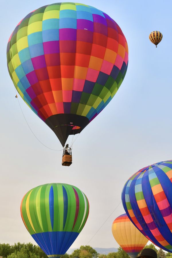 Hot air balloons taking off. thumbnail