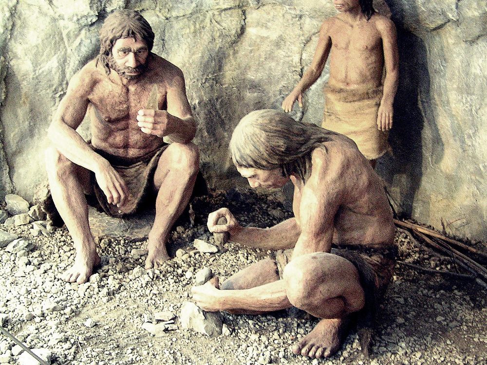 Neanderthals