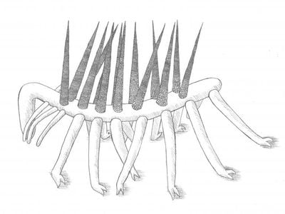 An artist's interpretation of what Hallucigenia sparsa looked like. 