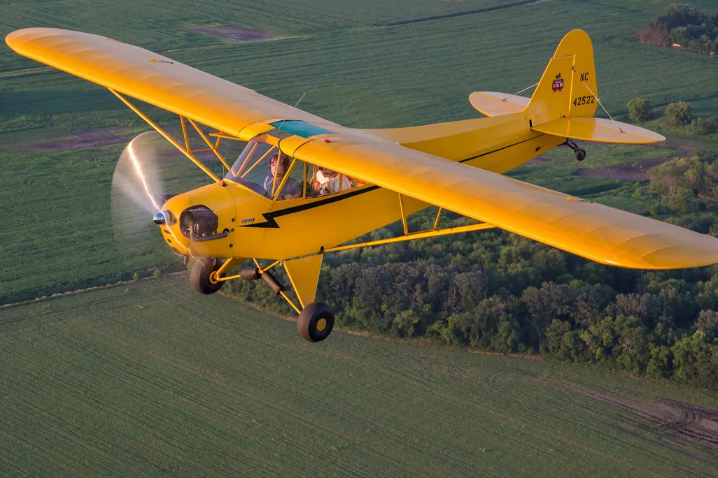 07-3C_AS2021_HoppingARide_Cub_3V56RrpQ_LIVE[1].jpg