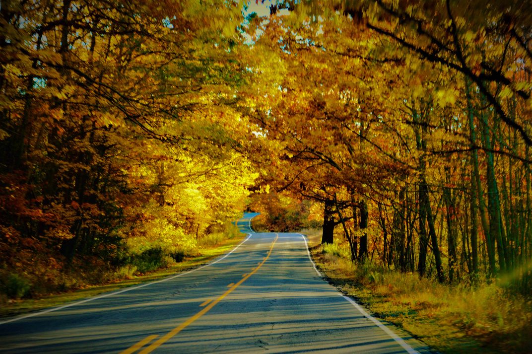 Autumn Drive Smithsonian Photo Contest Smithsonian Magazine